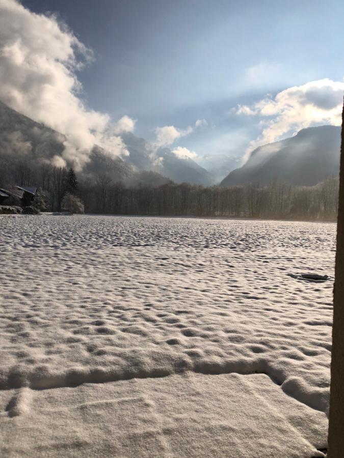 Studio - Le D2 Du Grand Tetras Samoëns Eksteriør bilde